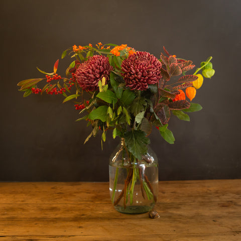 from the hedgerows